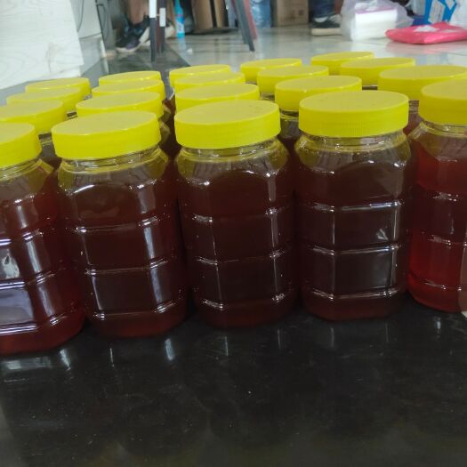 霍城县黑蜂蜂蜜 包邮山花蜜新疆伊犁产地直发  快递包邮发货