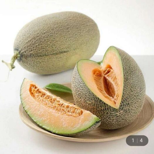 南京缅甸哈密瓜 新客优惠