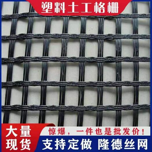 安平县护栏网/ 土工格栅 养殖专用网