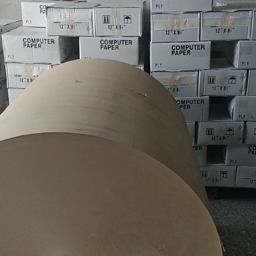 东莞市包装纸 供应纸丝，棉纸，白纸和牛皮纸纸丝，方便储存和运输
