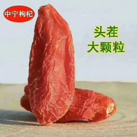 中宁县 正宗宁夏中宁枸杞