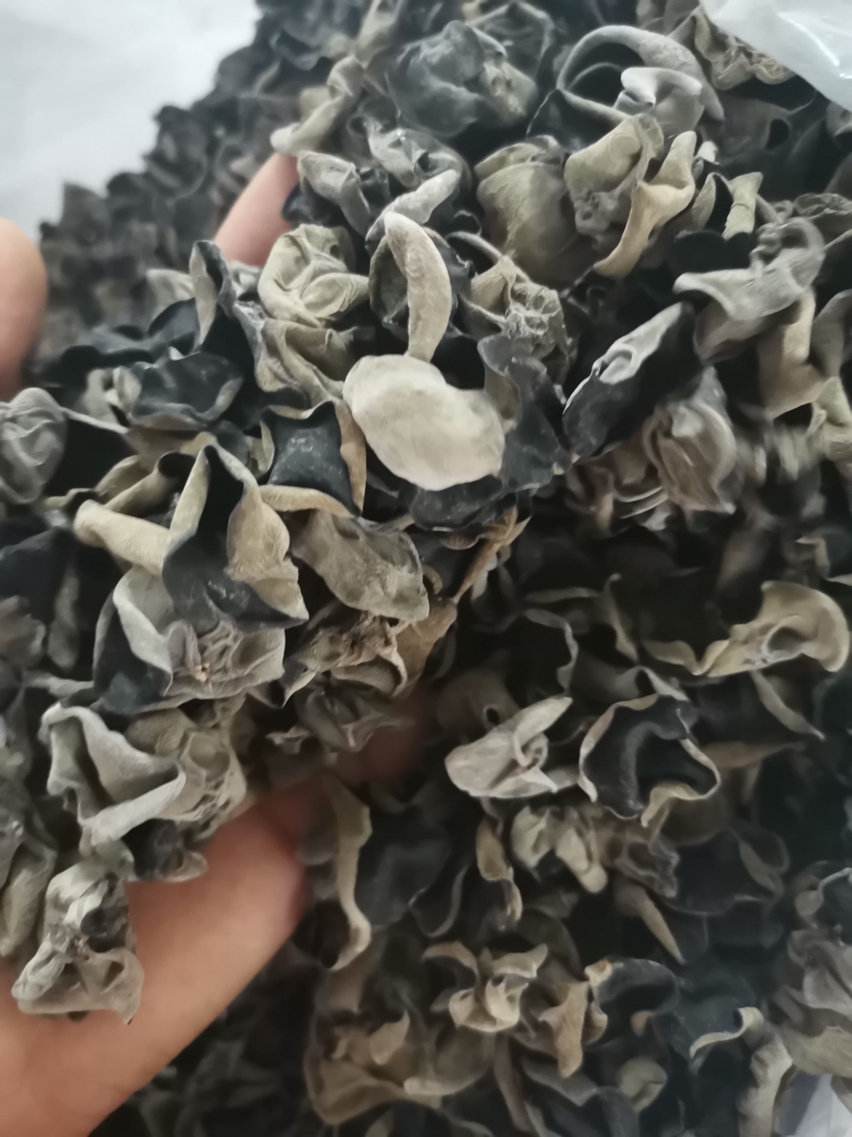 【软嫩】东北黑木耳东北山珍干货秋耳肉厚软嫩无根原货包邮