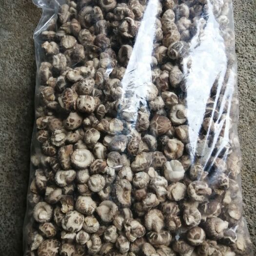 随县花菇  小香菇