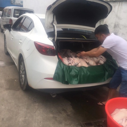 东莞市黑棕鹅 张氏兄弟配送专车...广州东莞深圳专线配送...其余，物流