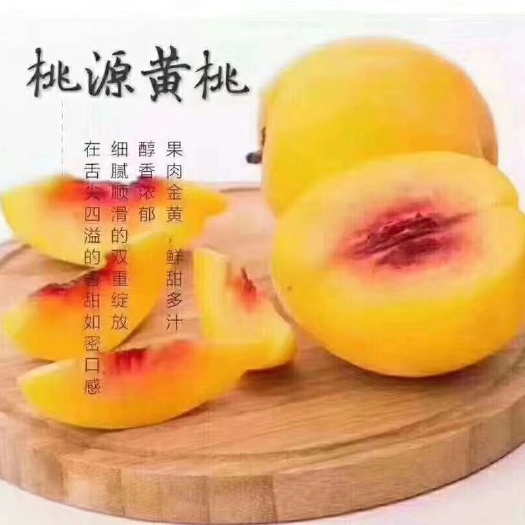 洪江市 现在是黄桃上市时节，喜欢黄桃的宝宝，不要错过哟～黄桃接单