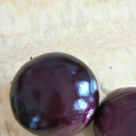 莘县紫光圆茄 圆茄