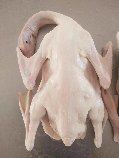 南通 白条鸡