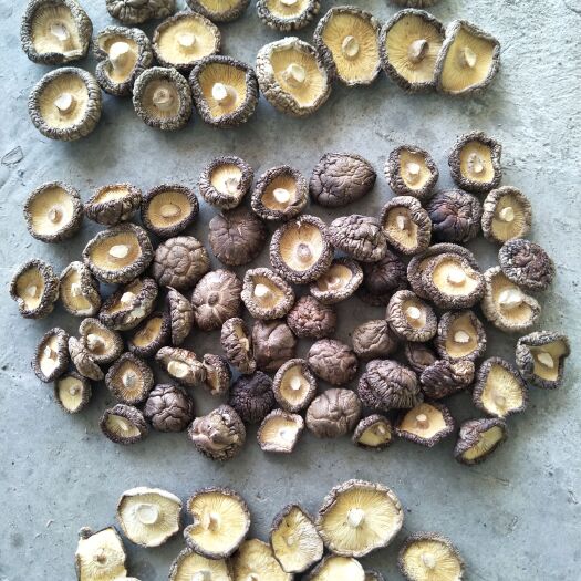 留坝县香菇片包邮  产地源头批发价，剪脚烘干的，从薄片菇到厚菇冬菇