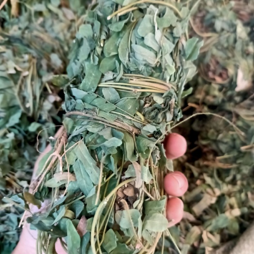 玉林 田氏鸡骨草藤益肝叶鸡骨草茶西相思叶500g中药广东煲汤料