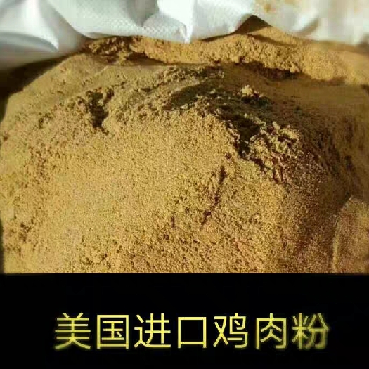 海兴县蛋白质饲料 鸡肉粉饲料饲料级美国鸡肉宠物级鸡肉粉狗粮