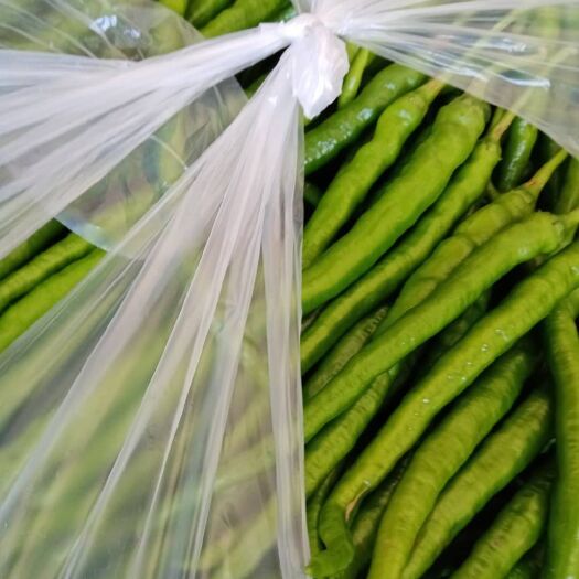 叙永县二荆条辣椒 精品二荆条，需要联系。价格从优