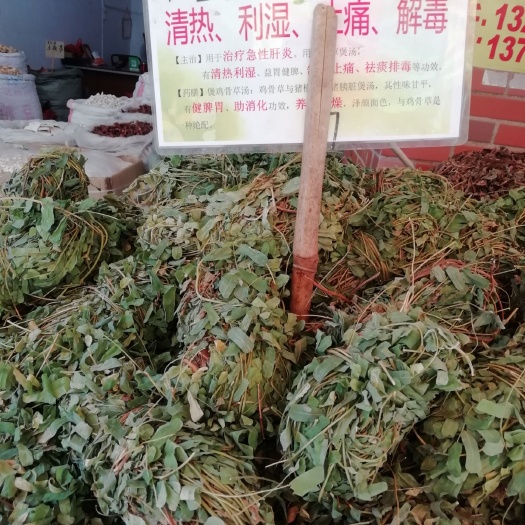 玉林新鲜鸡骨草，带叶鸡骨草藤茶广东煲汤料农家黄草根2斤起包邮
