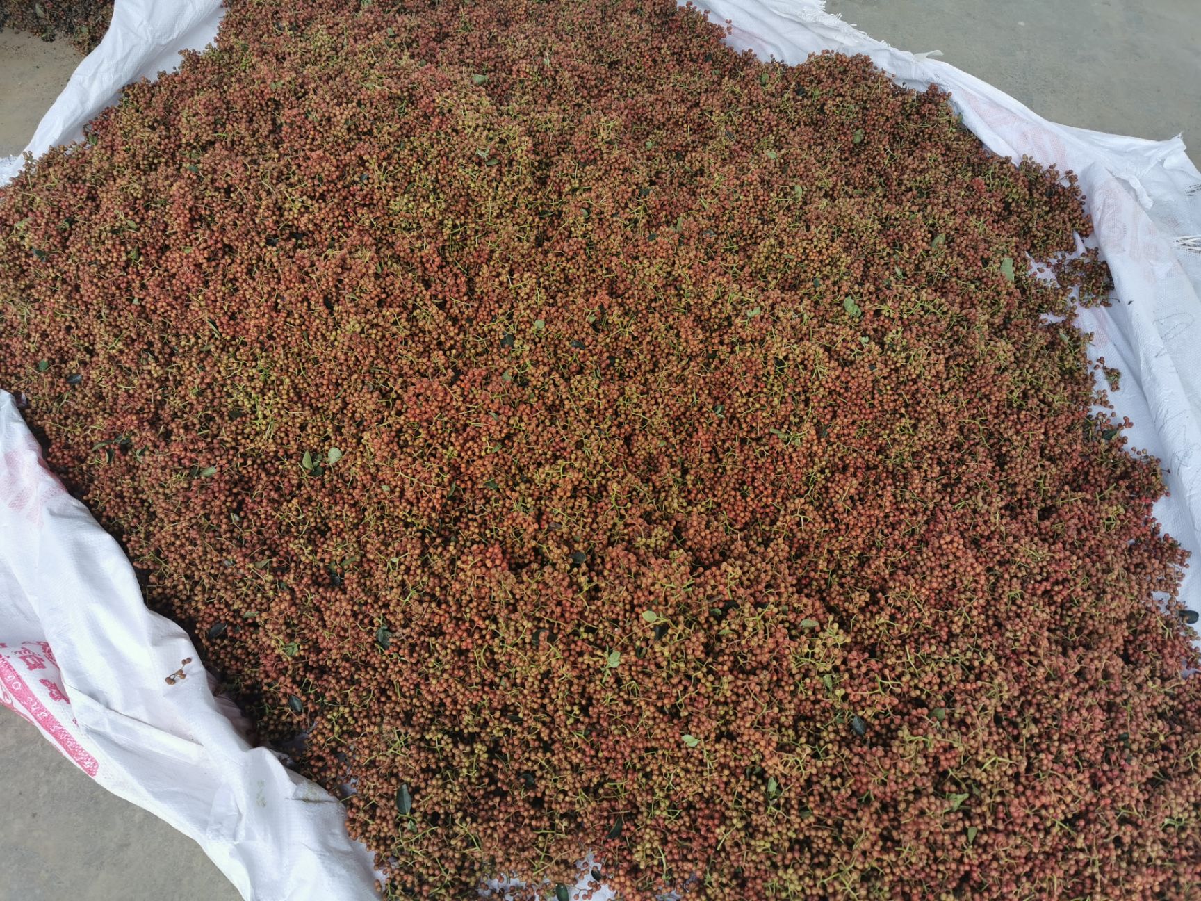  陕西渭南合阳特色红花椒刺椒鲜花椒