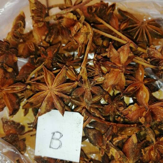 芒市 中缅食品香料八角