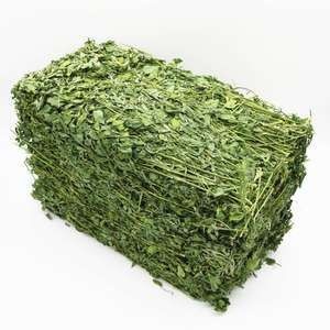 苜蓿草饲料  小院苜蓿草，宠物健康好，预订本年秋季，产量有限 ，不需定金。
