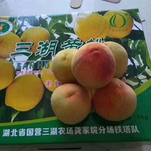 江陵县锦绣黄桃 70mm以上 4两以上