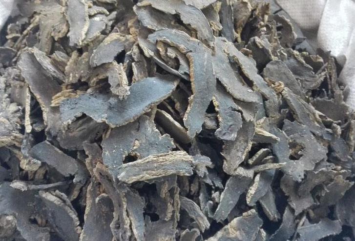 深圳 本土种植玄参