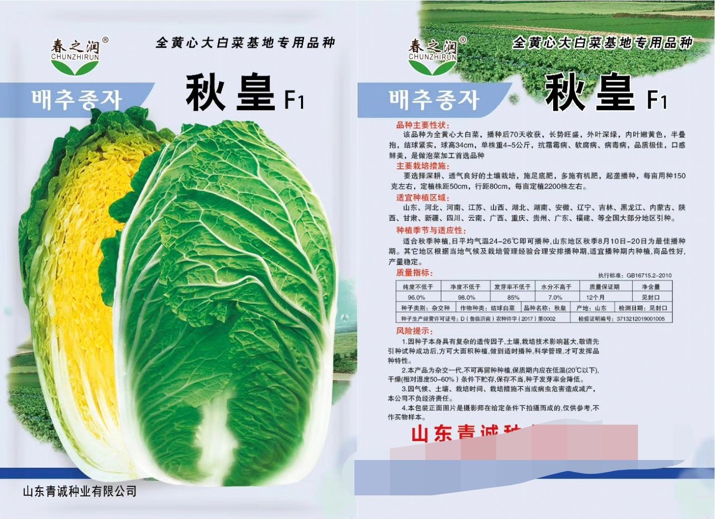 夏将军白菜种子~出苗后50天收获叶面无刺毛品感好