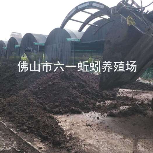 广州散装蚯蚓粪全国发货包邮 有机肥 生物肥 种植基质