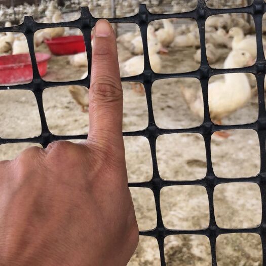 安平县养鸡围栏网 塑料 圈山圈地围墙护栏网 鱼塘 果园