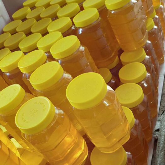 霍城县 包邮新疆伊犁薰衣草蜂蜜1000g装 天然   包邮