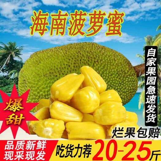 海南菠蘿蜜  海南黃心菠蘿蜜新鮮熱帶水果全部包郵