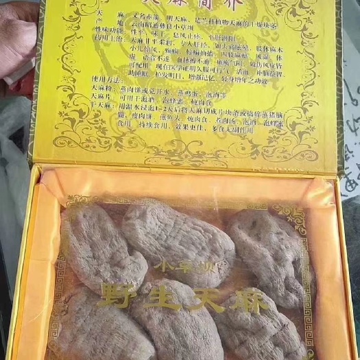 彝良县昭通天麻