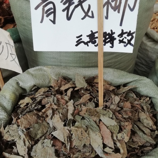 玉林青钱柳叶 新摘老叶子 百年古树金钱柳大成叶茶青钱柳原叶养生茶