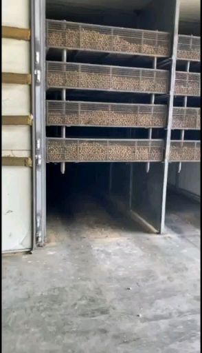 长沙莆田桂圆干 松树牌厂家诚邀各地经销商