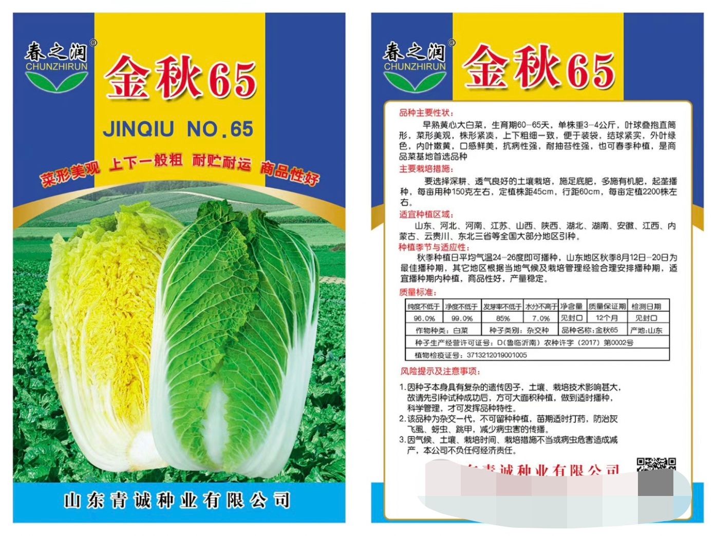 夏将军白菜种子~出苗后50天收获叶面无刺毛品感好