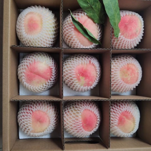 天台县优质日本品种优质水蜜桃7-10月