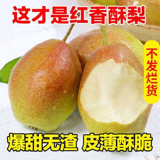 临猗县新鲜红香酥梨香梨10斤/5斤梨子脆甜多汁当季水果非新疆库尔