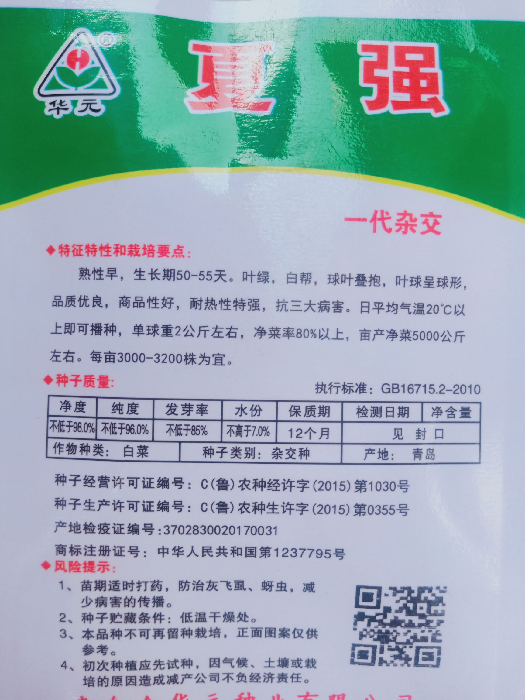 大白菜种子 夏秋白菜，好吃，抗病