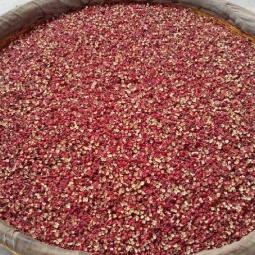 礼县陇南花椒 甘肃陇南伏椒，梅花一分货