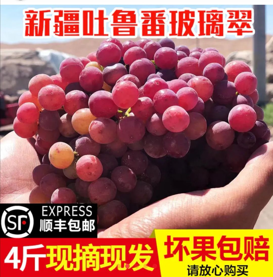  助农公益 预计8月4号以后发货】新疆新鲜葡萄吐鲁番玻璃翠