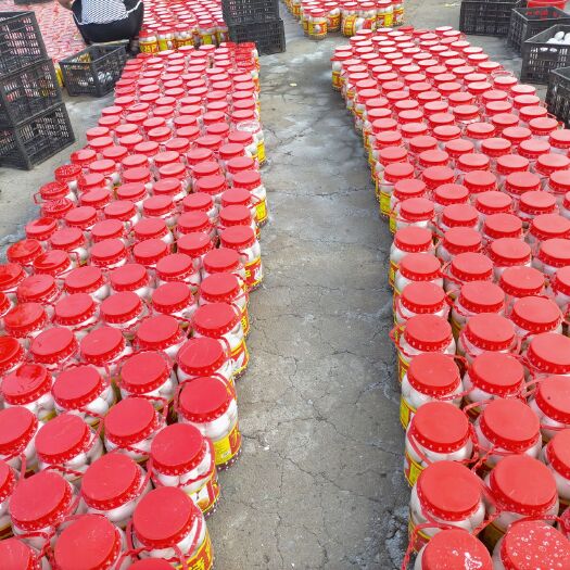 平阴县咸鹅蛋  精品桶装大鹅蛋，质量可靠，支持全国各地发货，协助物流调