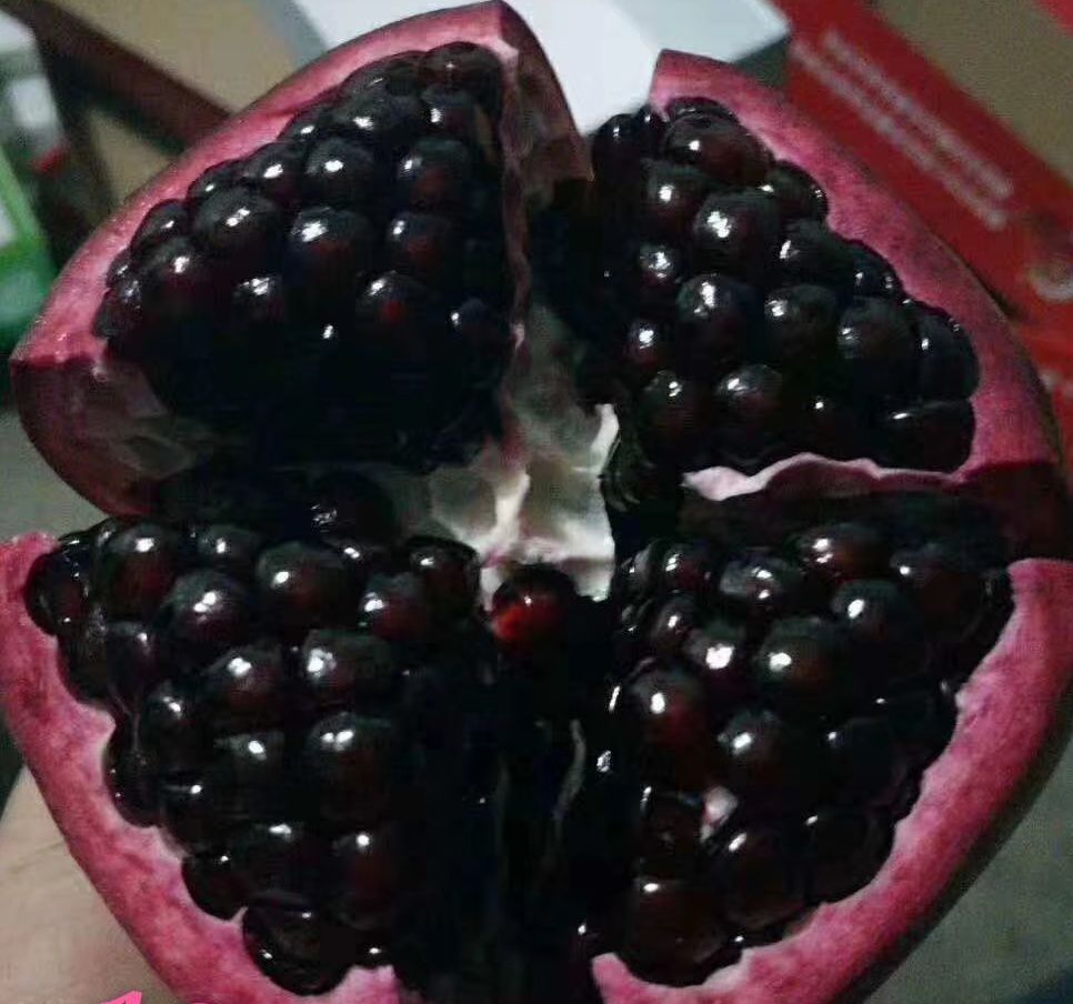 突尼斯软籽石榴树苗 软籽石榴，泰山红，大青皮