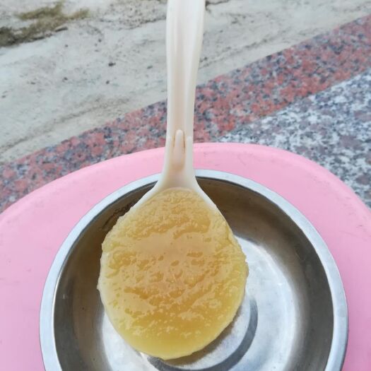 兴业县土蜂蜜 有龙眼荔枝蜜，鸭脚木蜜
