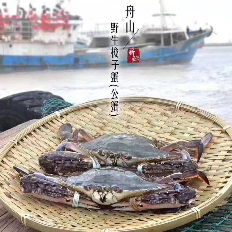  舟山梭子蟹八月一号正式解禁启航 两号下午到货需要预购
