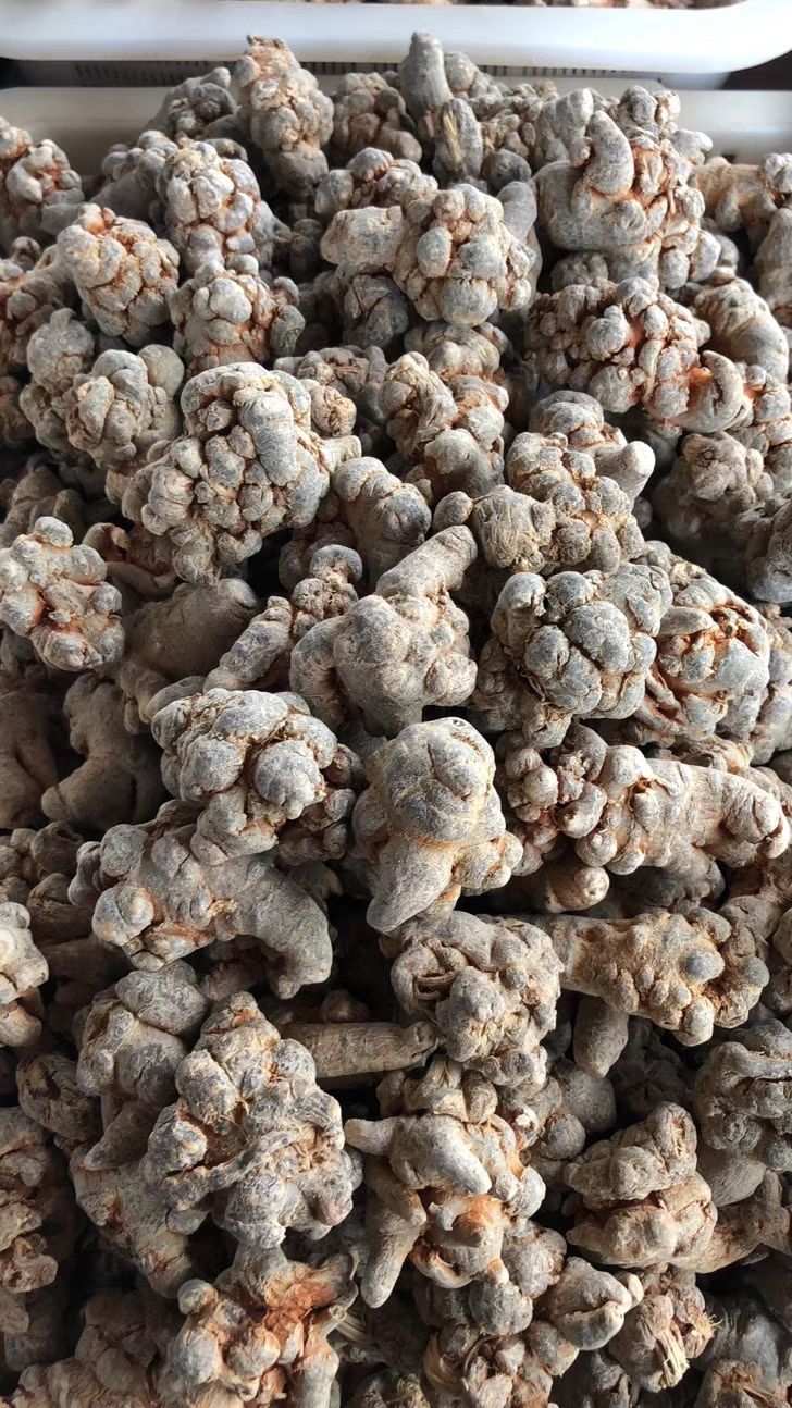  精选田七云南文山产地三七20头30头80头田七