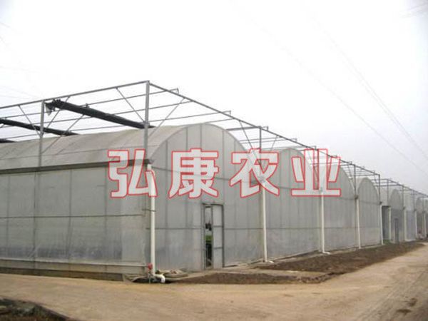 PO薄膜  薄膜连栋温室