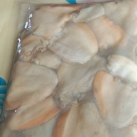 海伦市 新鲜河蚌肉！欢迎大家大量采购