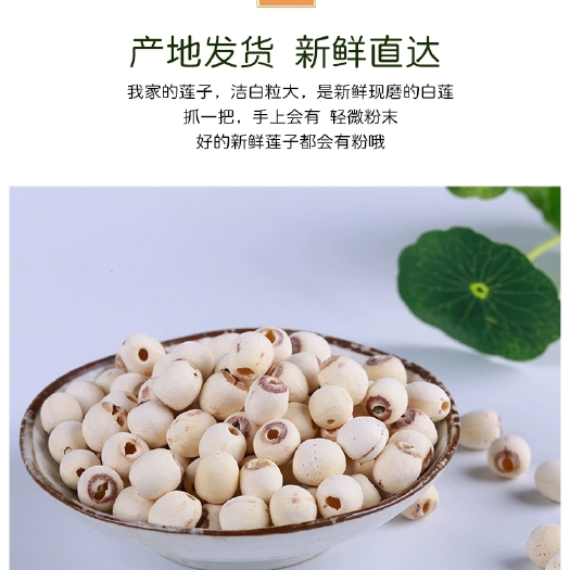 湘潭县磨皮莲子  产地货源一级去芯磨皮白莲无硫去心莲子湖南湘莲干货批发量大从