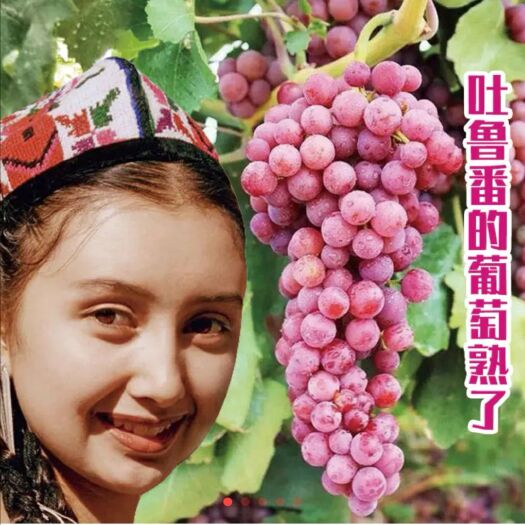 托克逊县 助农公益 预计8月4号以后发货】新疆新鲜葡萄吐鲁番玻璃翠