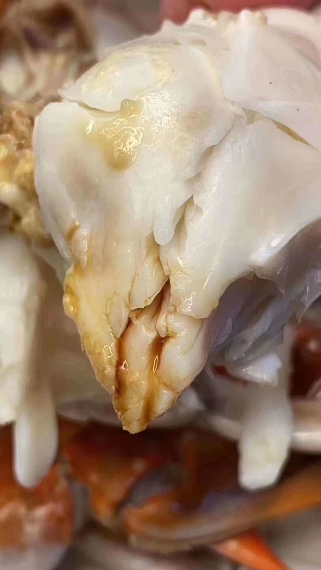  舟山梭子蟹八月一号正式解禁启航 两号下午到货需要预购