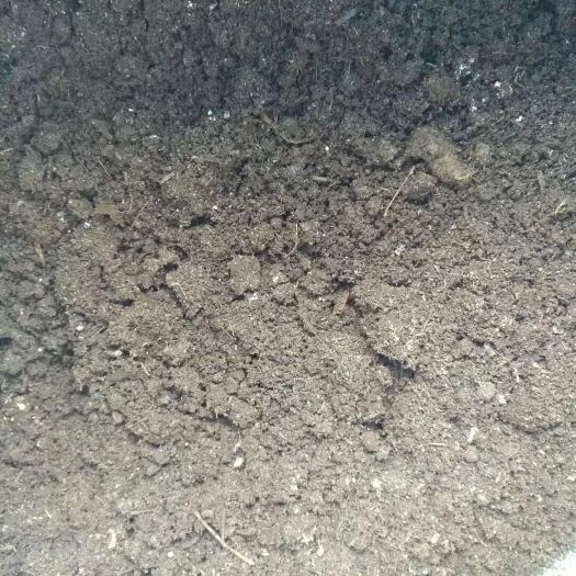 南宁 牛粪原料优质蚯蚓粪，水分低