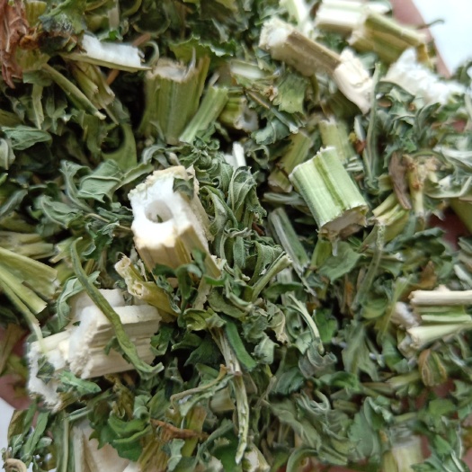 亳州 青益母草，过筛