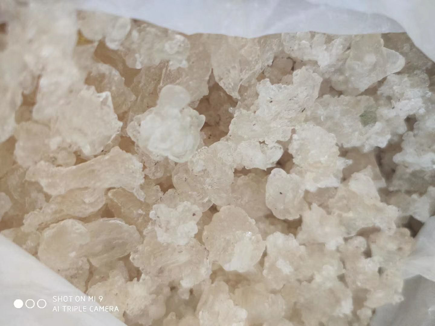 缅甸特级雪燕 缅甸原产地直发雪燕批发零售