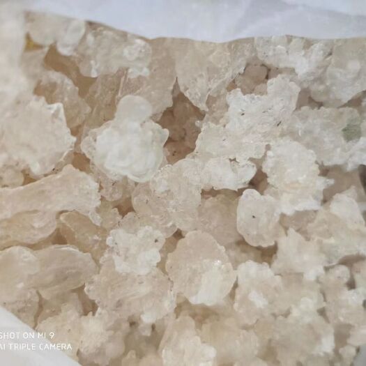 缅甸特级雪燕 缅甸原产地直发雪燕批发零售