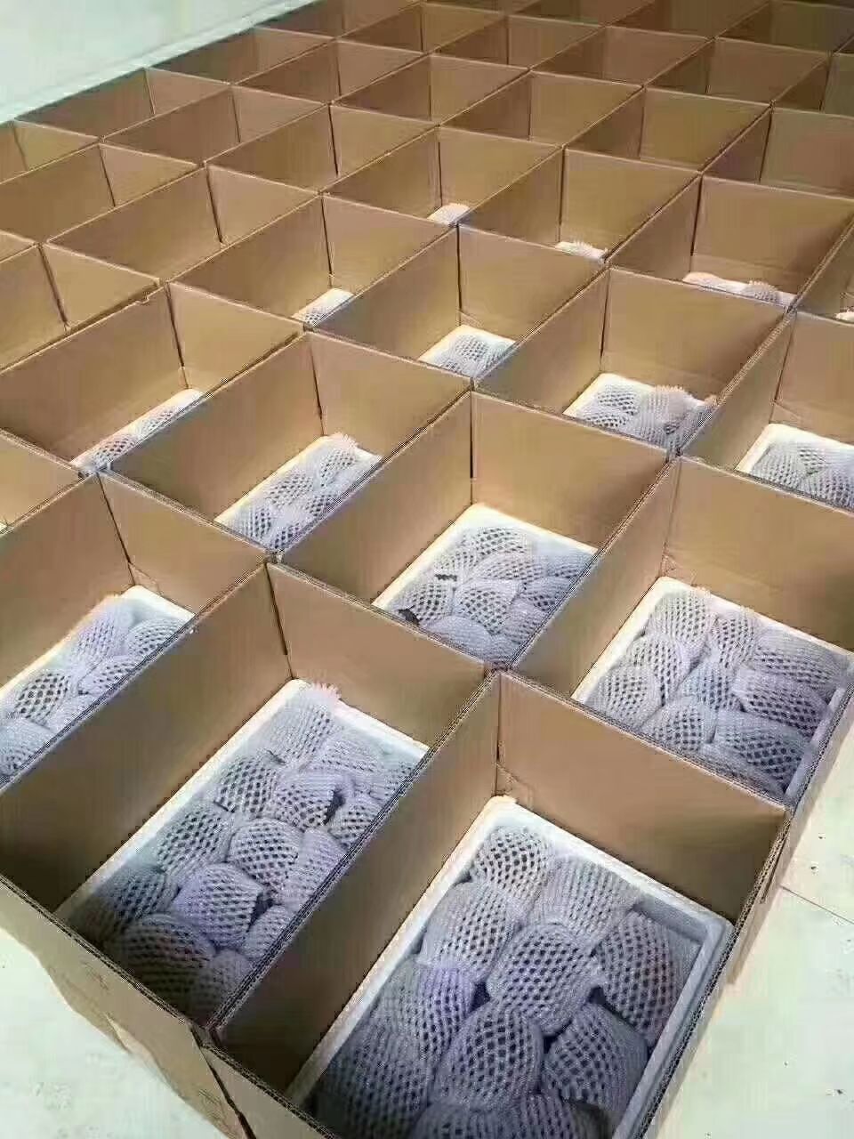 翠香猕猴桃  现摘现发，新鲜到家